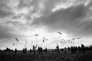 Atelier Méry - Le champ des petits corbeaux OK